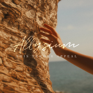 A一级试一试黄色免费视频网站
